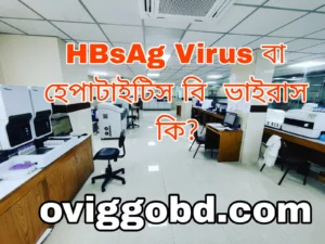 HBsAg Test কি 