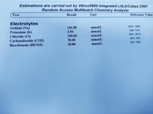 electrolytes test report