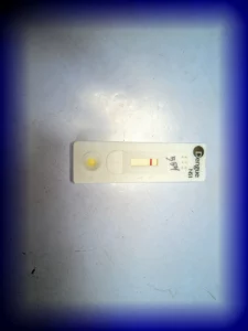 ns1 dengue test device