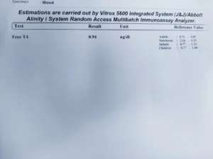 ft4 test report