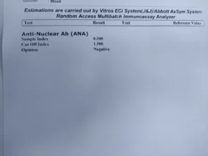 ana test report