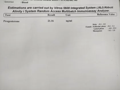 progesterone test report