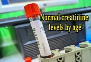 Normal creatinine levels by age