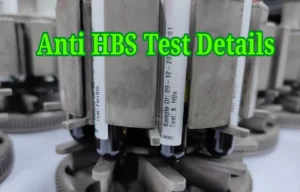 anti-HBS test details 