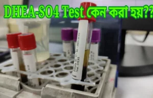 DHEA-SO4 test কেন করা হয়?